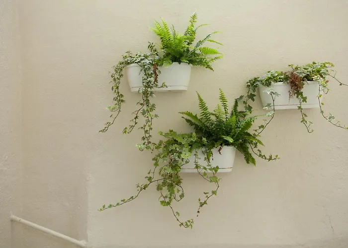 Beguest Santa Catarina